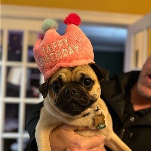 Meet your Posher, Dee